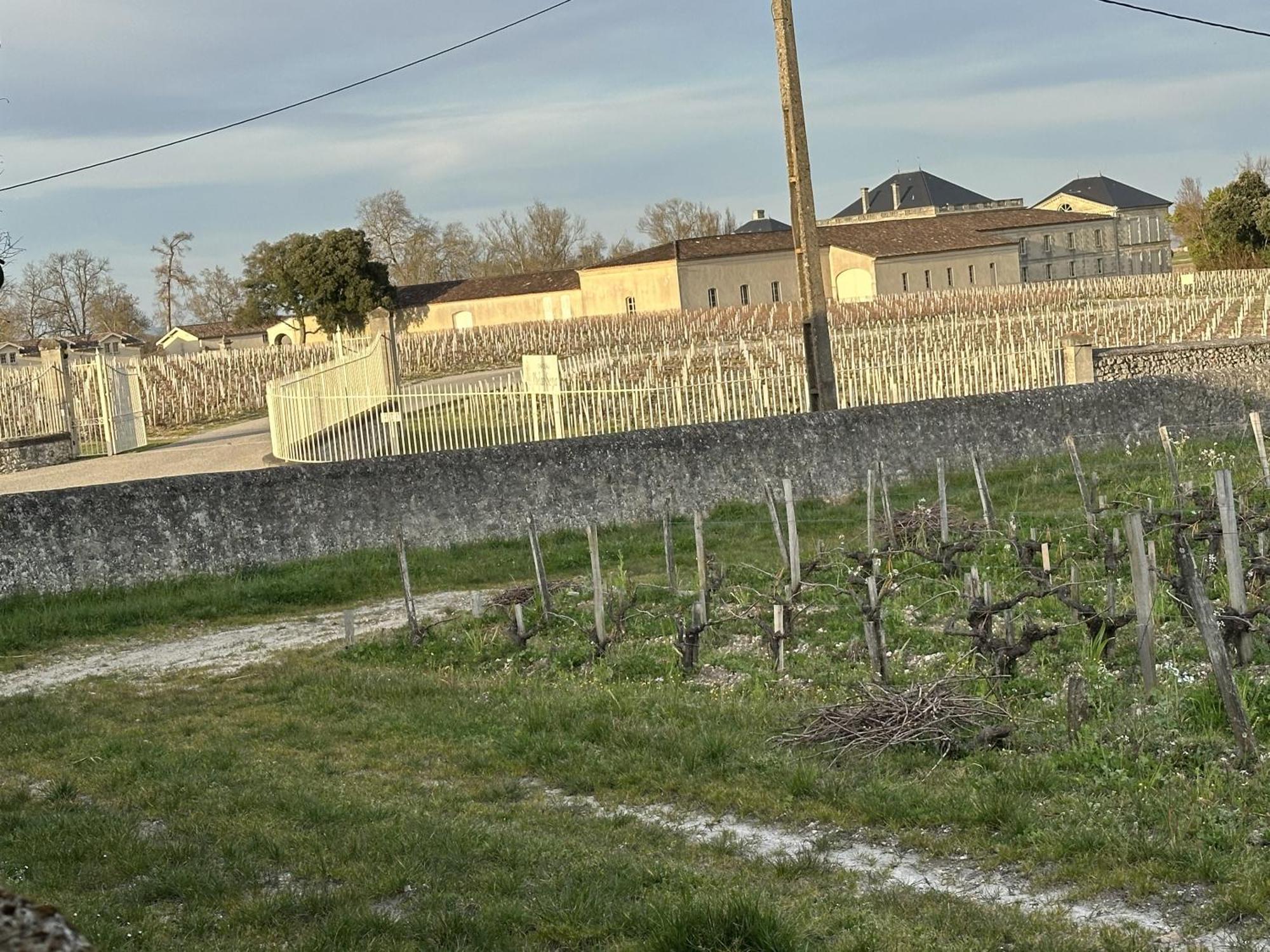 Maison Jeroboam Saint-Estèphe Kültér fotó